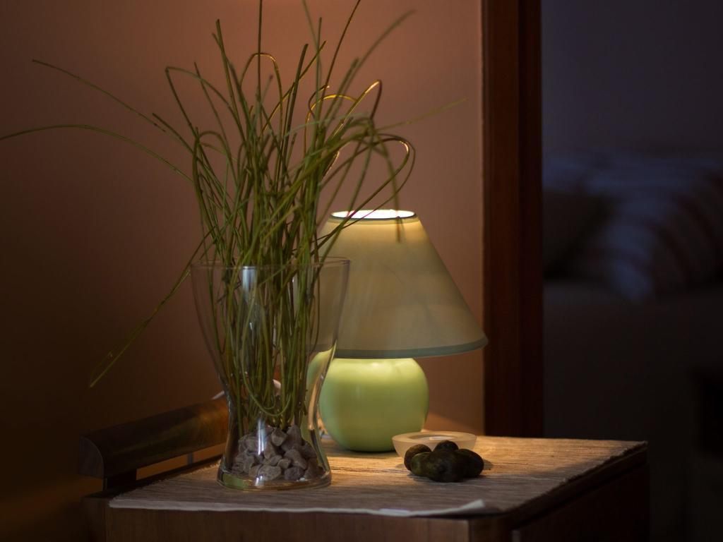 רוביני Apartment Duketis מראה חיצוני תמונה